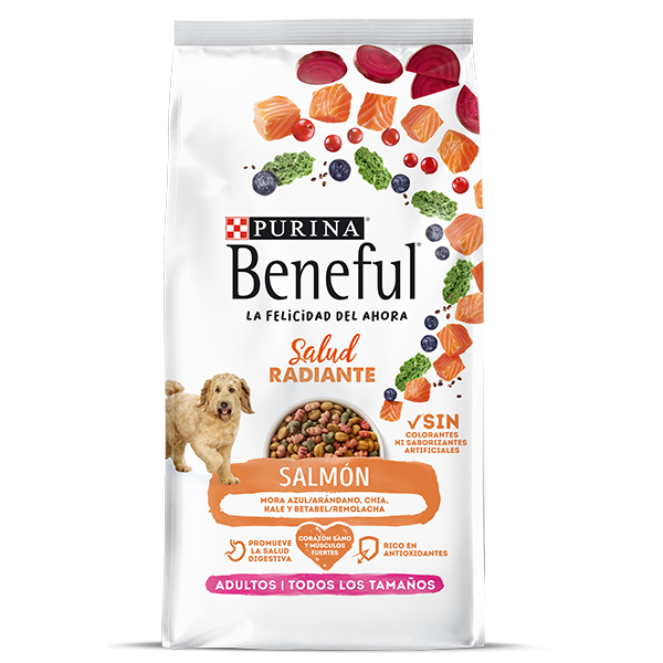 purina beneful petsmart