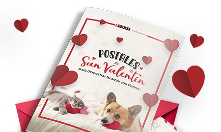Purina San Valentín Descarga
