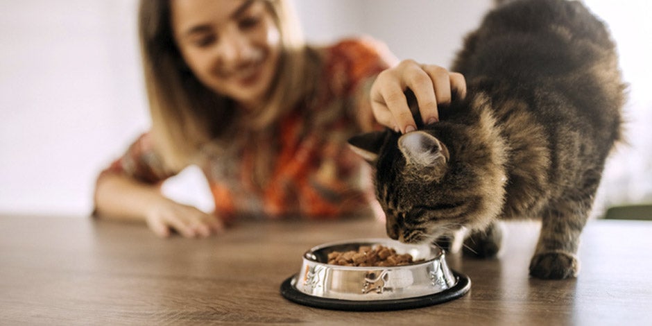 Tutora alimentando a su mascota con comida gastrointestinal para gatos PURINA®. 