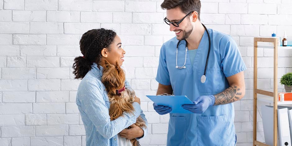 Estreñimiento en perros - Veterinario Veterinario hablando con tutora de Yorkie. Una consulta puede prevenir el estreñimiento en perros.