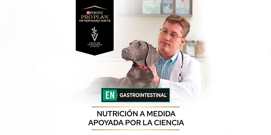 Croquetas para perros – Pro Plan Las croquetas PRO PLAN® son buenas para los perros. Incluso hay fórmulas veterinarias, como la gastrointestinal.