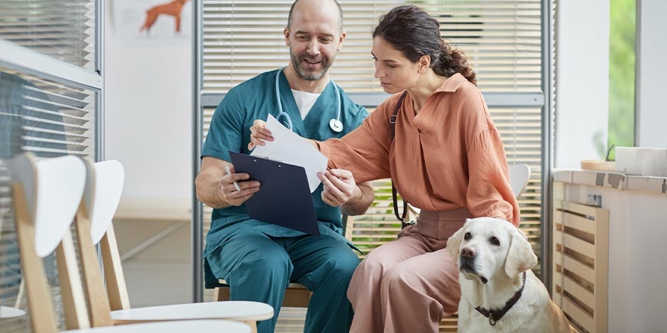 Los perros pueden comer pescado - Veterinario Los perros pueden comer pescado, pero con condiciones. Valida con el veterinario como hace esta tutora.