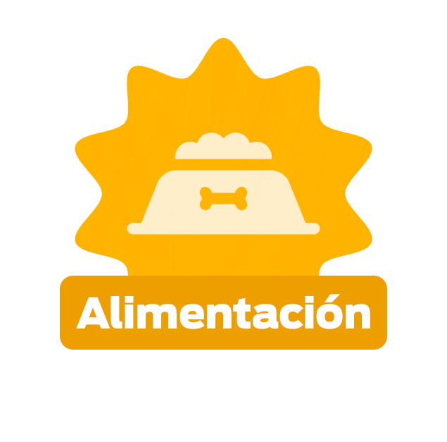 Ícono naranja con plato de comida. Alimenta a tu cachorro con Purina Puppy Club.