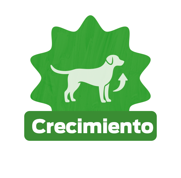 Ícono verde con perro blanco. El desarrollo de tu cachorro con Purina Puppy Club.