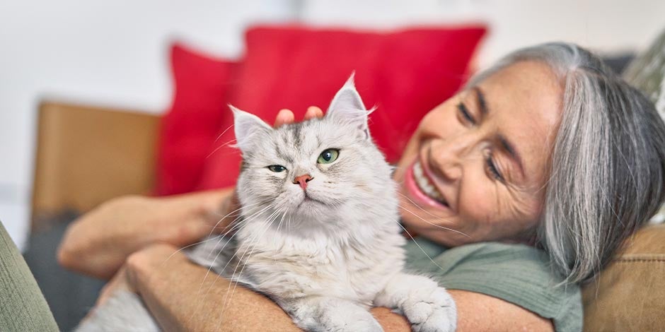 La edad felina y su equivalencia en años humanos es uno de los datos curiosos de los gatos. Michi con tutora.
