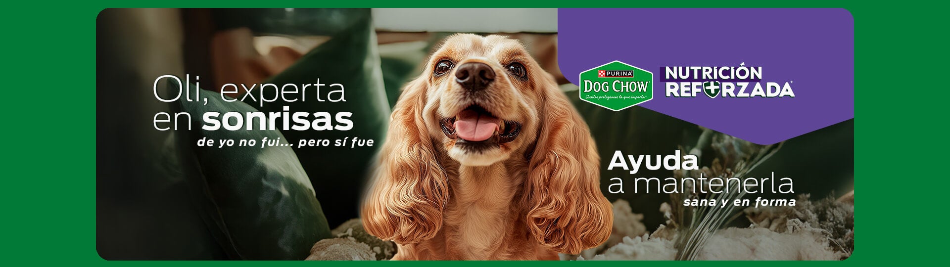 Perro feliz con alimento Purina Dog Chow Nutrición Reforzada, ayuda a mantenerlo sano y en forma.