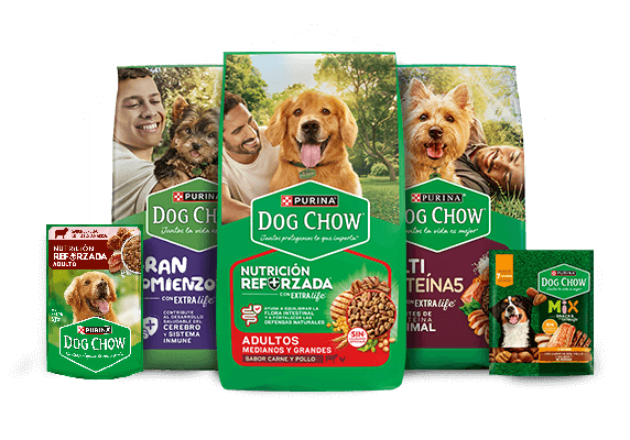 Variedad de productos Dog Chow, versión húmedo y seco para perros.