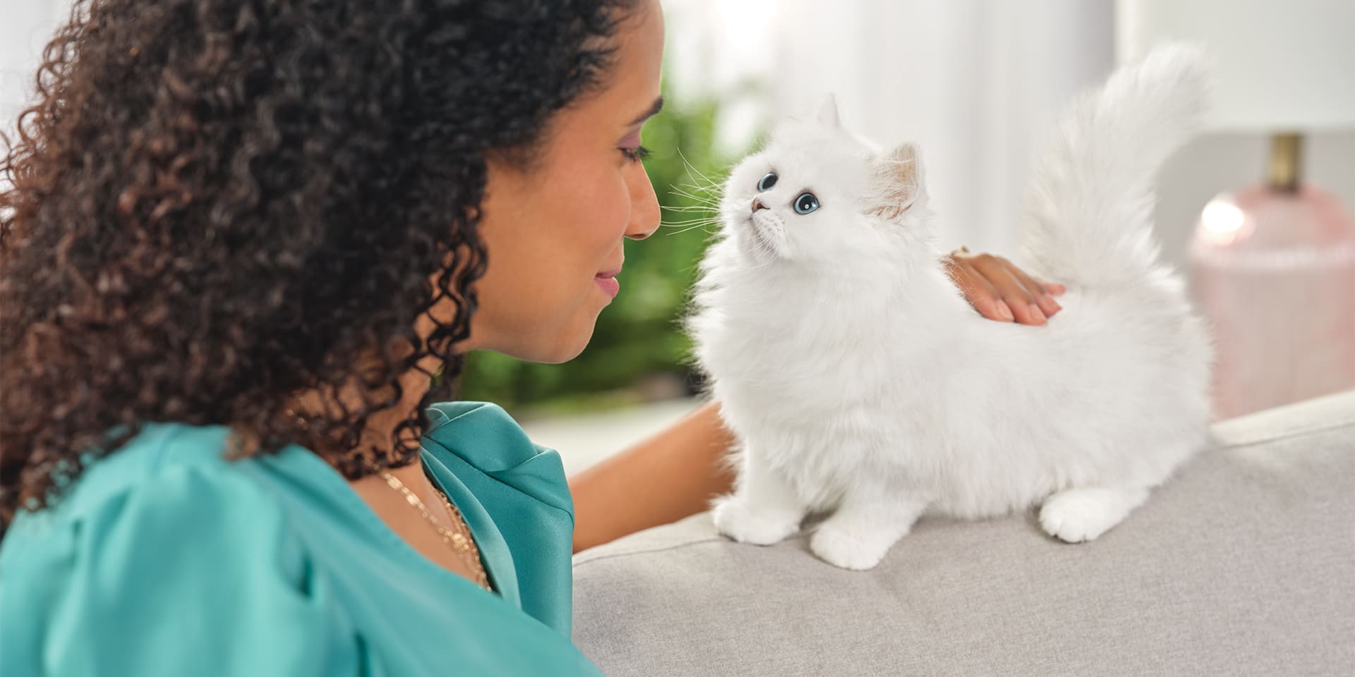 Cómo demostrar amor a tu mascota