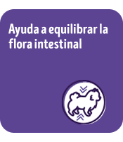 Alimento para perros Dog Chow Longevidad:  Ayuda a equilibrar la flora intestinal.
