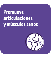 Alimento para perros Dog Chow Longevidad:  Promueve articulaciones y musculos sanos.