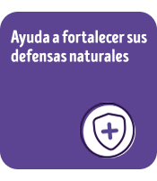 Beneficio del alimento para perros Dog Chow Longevidad: ayuda a fortalecer sus defensas naturales.