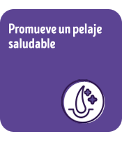 Alimento para perros senior Dog Chow Longevidad: Promueve un pelaje saludable