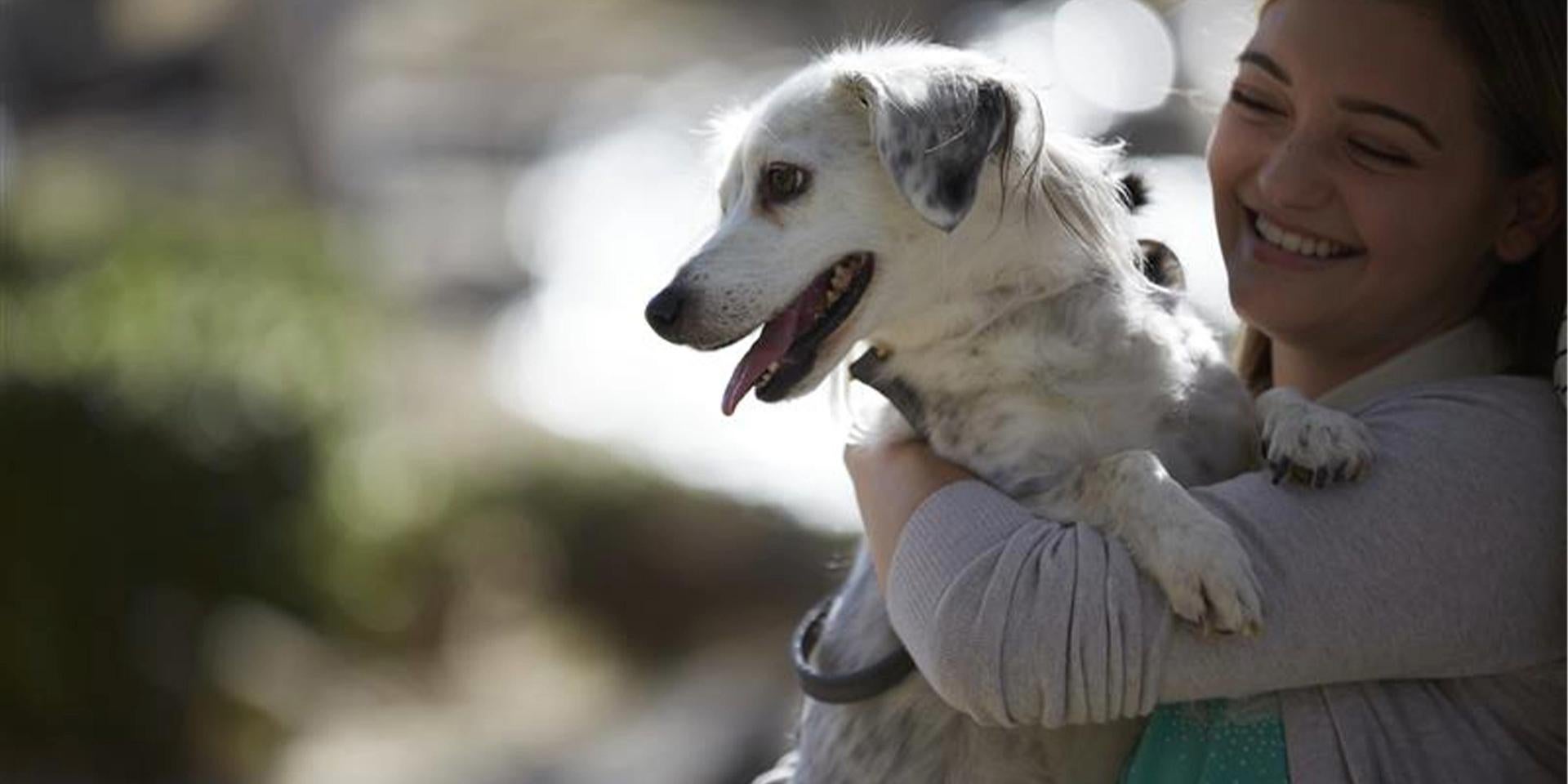 Perro sano siendo cargado por su tutora