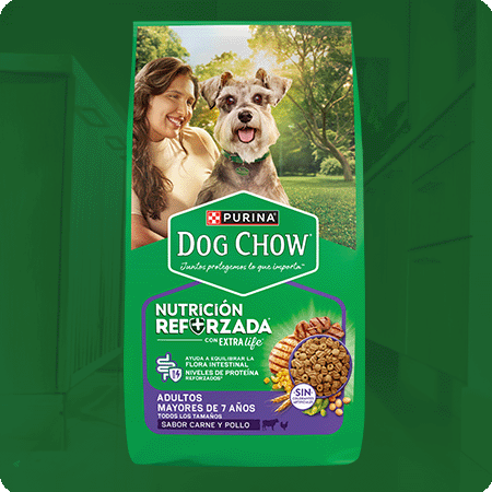 Alimento para perro senior Dog Chow longevidad adultos mayores de 7 años, sabor carne y pollo.