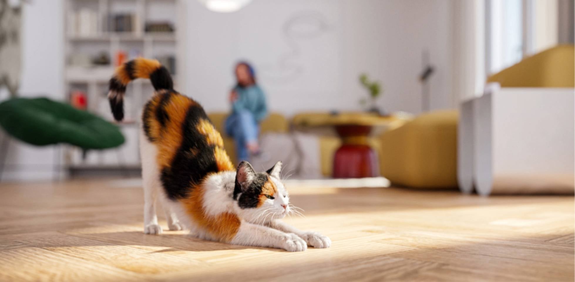 Los gatos pueden comer zanahoria: michi con pelo brillante gracias a las vitaminas de esta verdura.