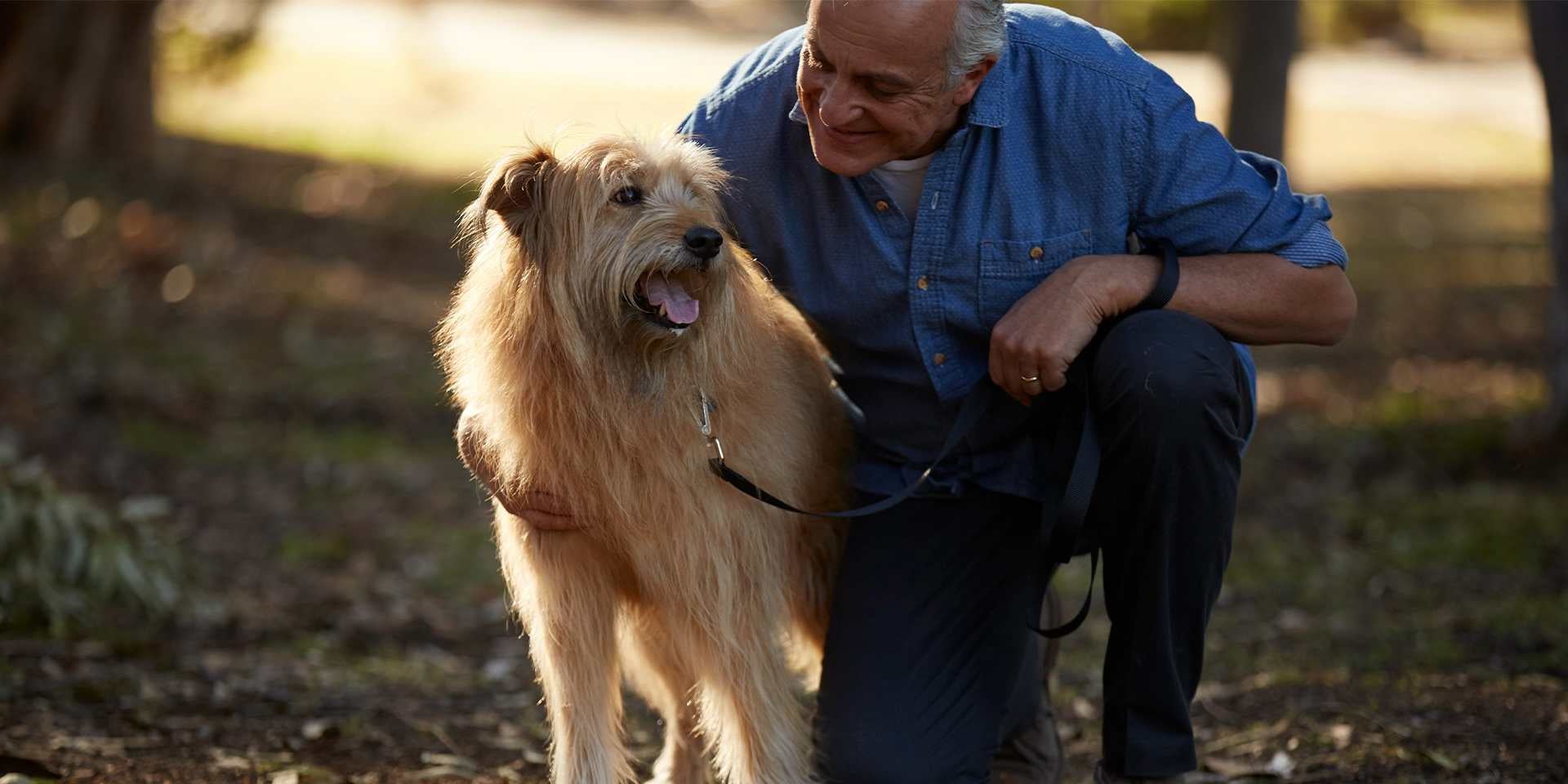 Los perros en adopción en etapa senior suelen ser muy agradecidos. Mascota junto a su tutor.