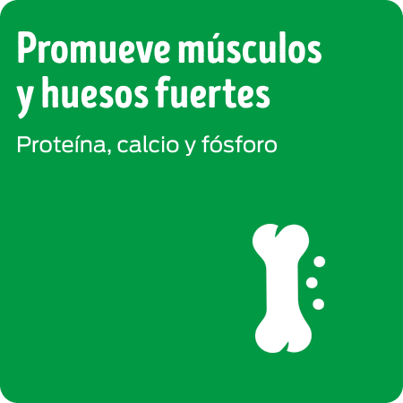 Dog Chow Nutrición Reforzada promueve músculos y huesos fuertes.