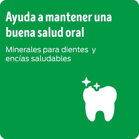 Dog Chow Nutrición Reforzada ayuda a mantener una buena salud oral.