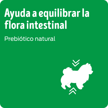 Dog Chow Nutrición Reforzada ayuda a equilibrar la flora intestinal.