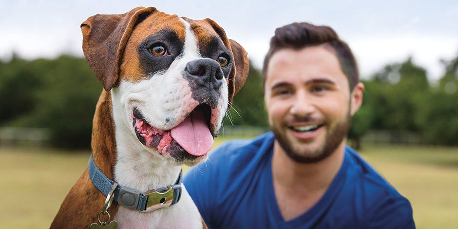 Conoce algunos datos curiosos de los perros. Bóxer junto a su tutor.