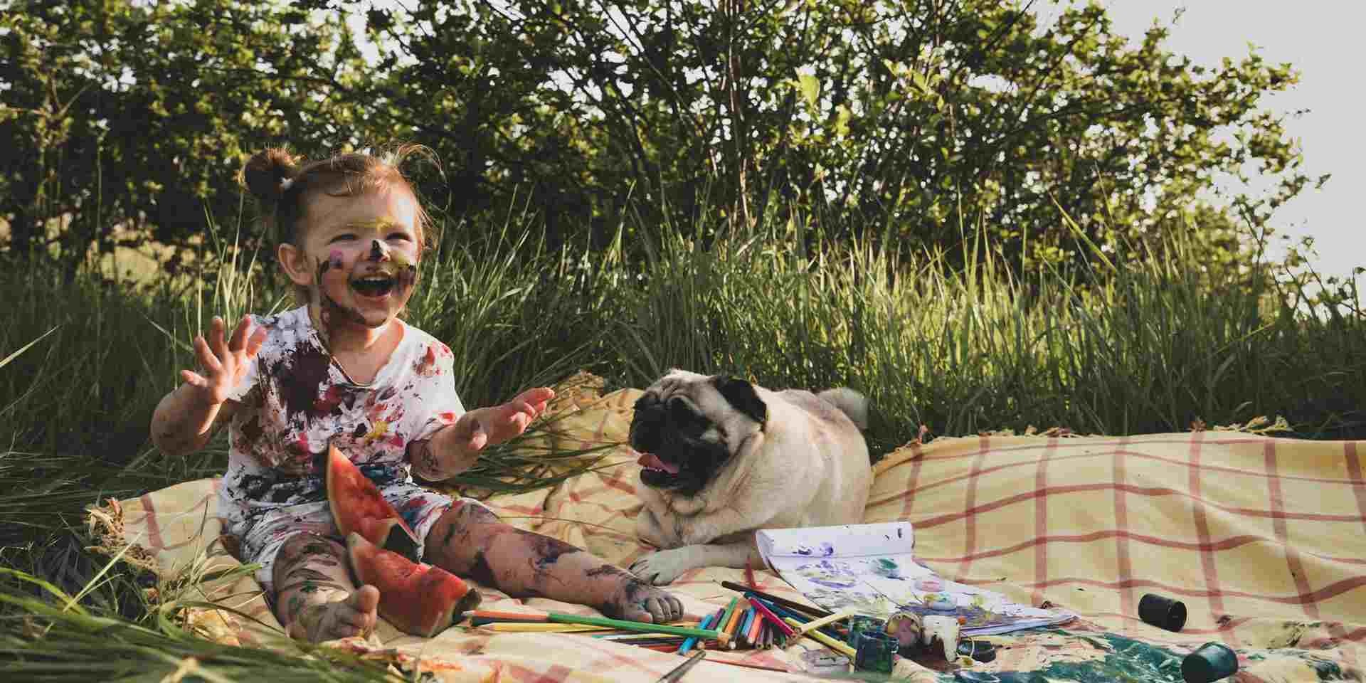 Los perros pueden comer melón, pero en cantidades adecuadas. Pug de picnic junto a su pequeño tutor.
