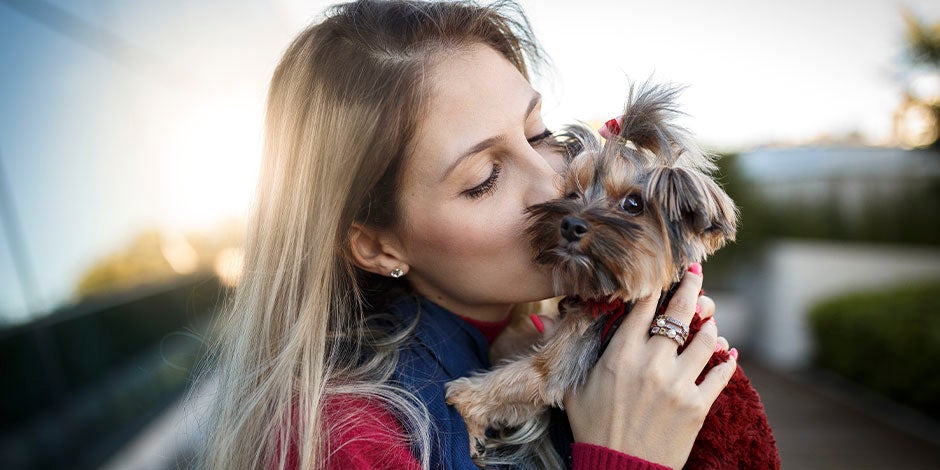 PURINA® te trae las mejores opciones de nombres para perritas