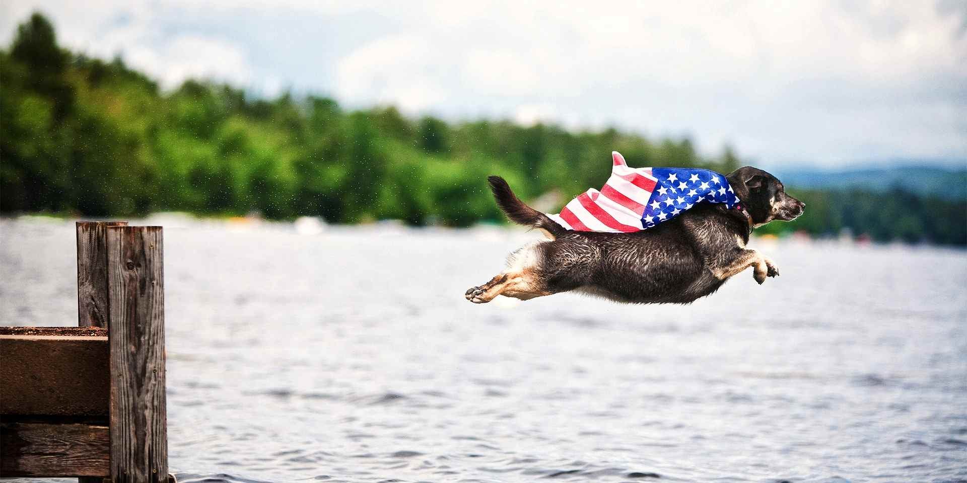 Los nombres para perros pueden darles un aura especial, como a este pequeño superhéroe peludo.