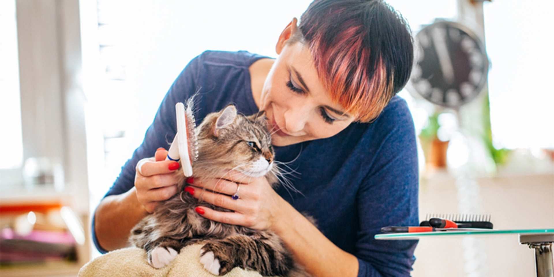 El pelo de gato cumple muchas funciones para nuestros amigos felinos. Mujer cepillando a su mascota.