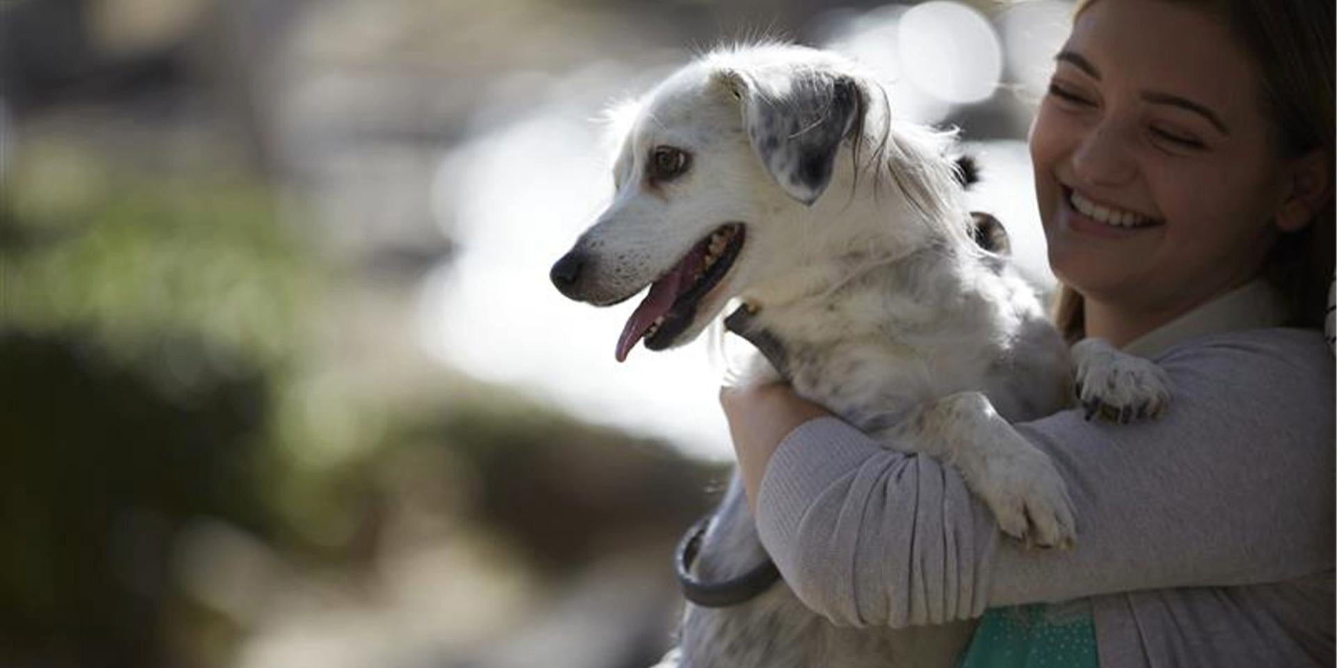 ¿Cuánto cuesta adoptar un perro en México?