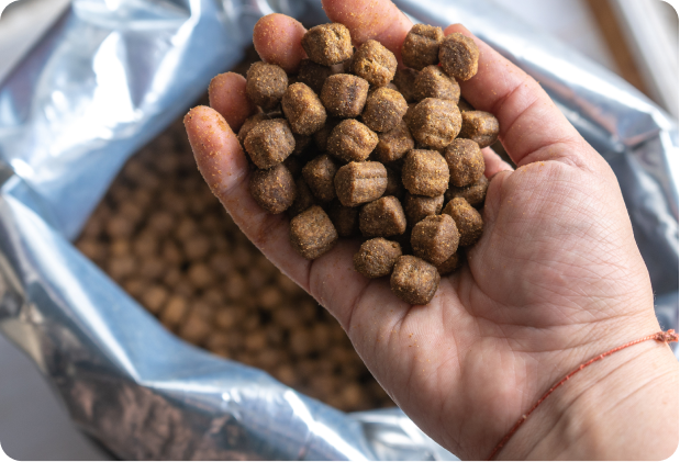 Toma de muestra para comprobar que no exista infestación en alimento para mascotas