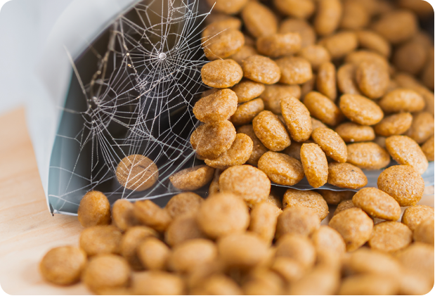 Croquetas derramadas de su empaque con evidencia de infestación de alimentos para mascotas