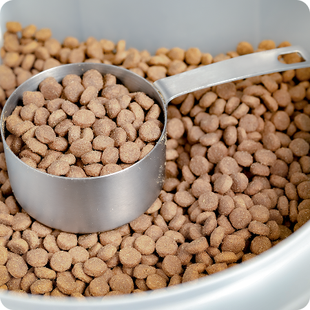 Alimento para mascotas en taza medidora, mostrando almacenamiento adecuado para evitar infestación.