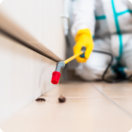 Técnico aplicando control de plagas para prevenir infestación que pueda afectar alimentos para mascotas.