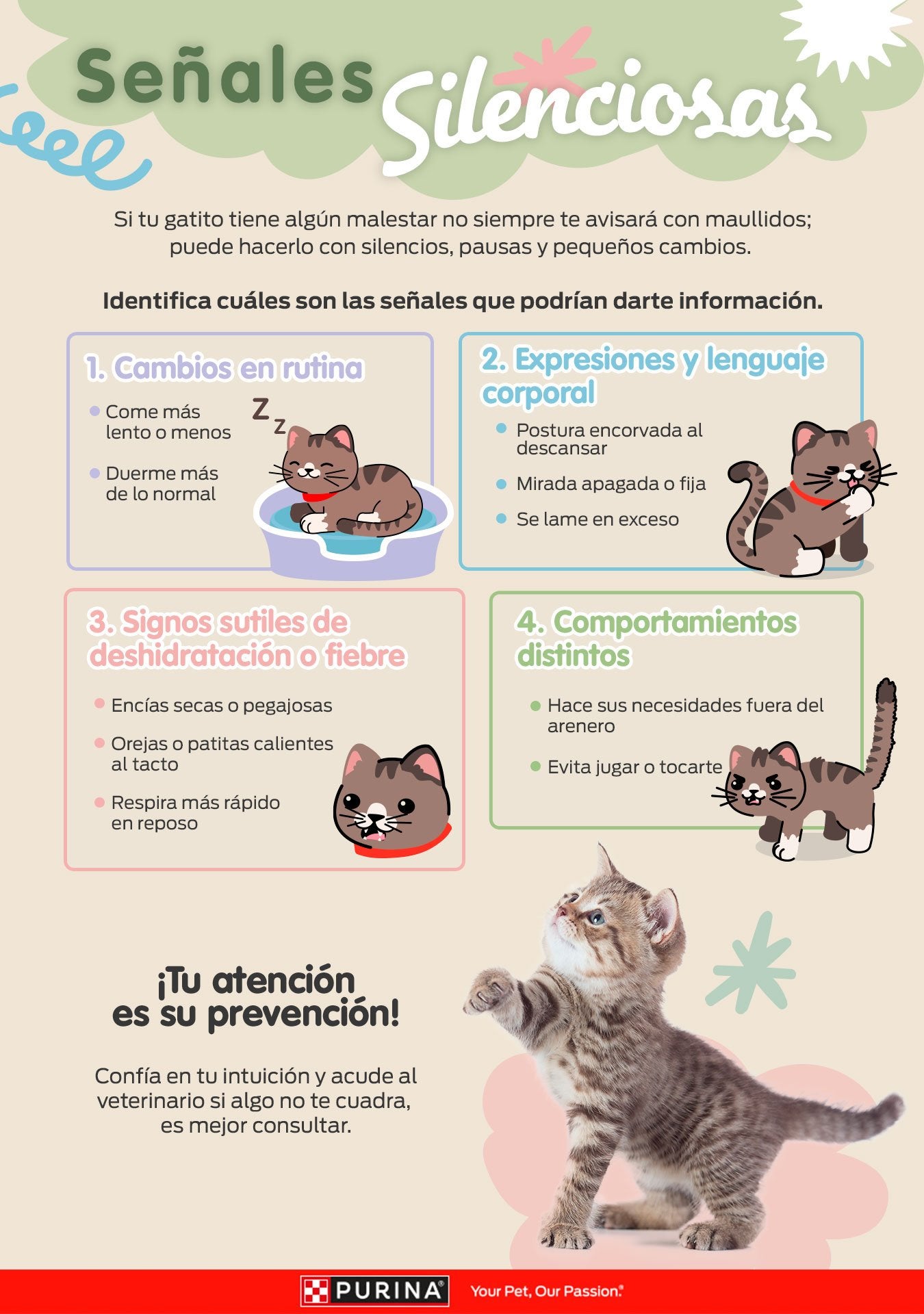 Infografía sobre señales silenciosas de malestar en gatos y su bienestar.