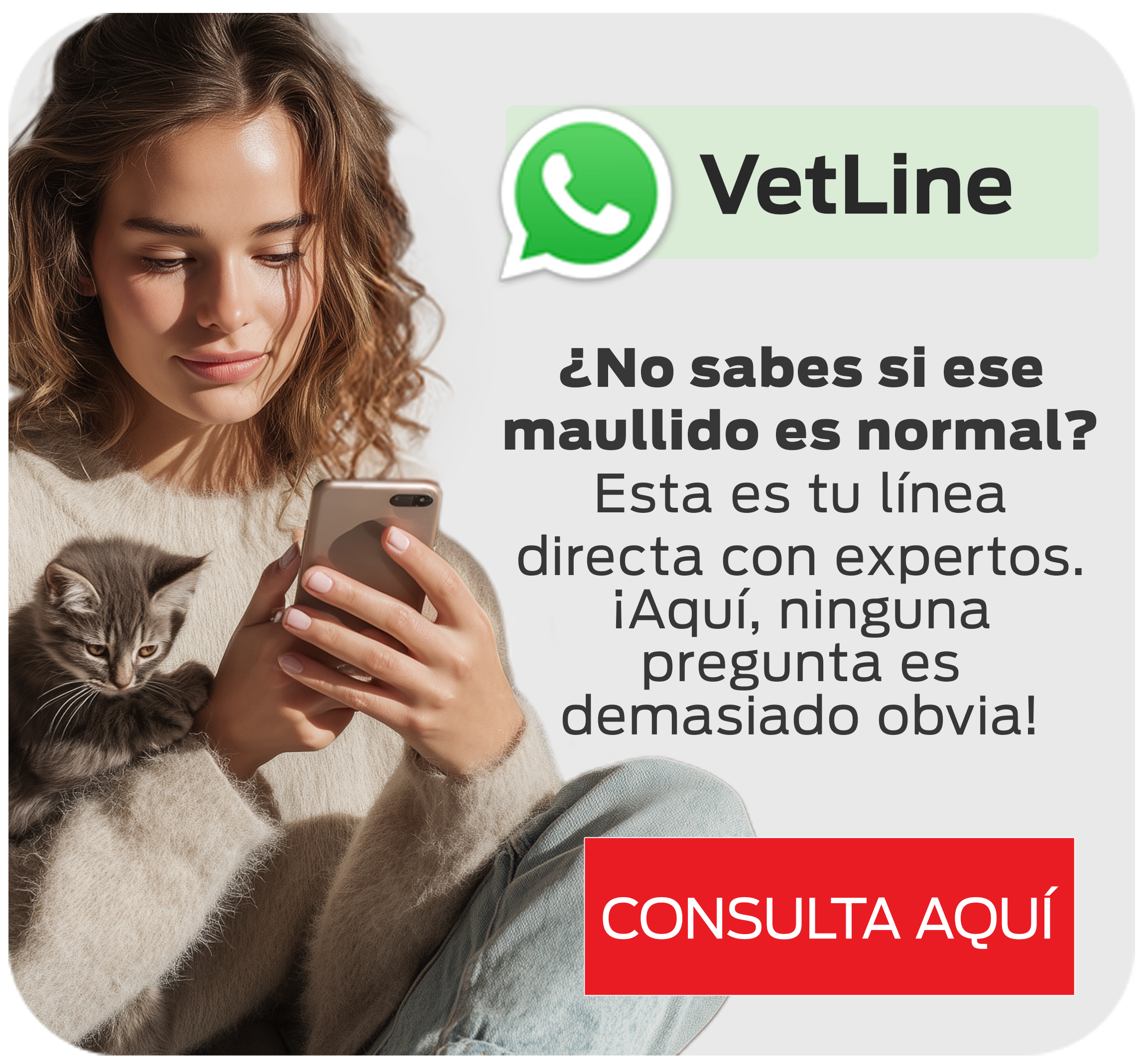Mujer cargando un gatito con línea directa a un experto veterinario para sus consultas