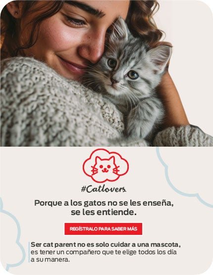 Mujer abrazando a un gatito, comunidad Cat lovers de Purina México para dueños de gatitos