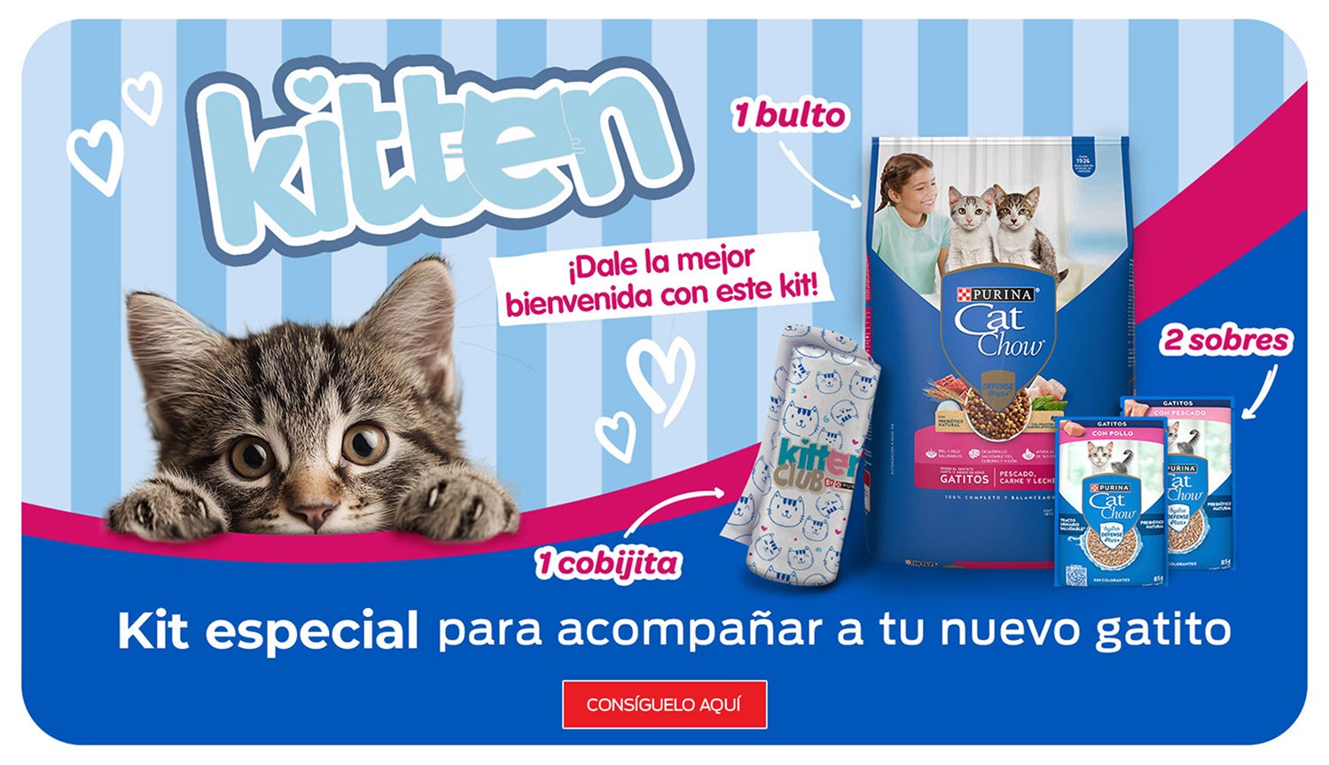 Consigue el kit de bienvenida para tu nuevo gatito
