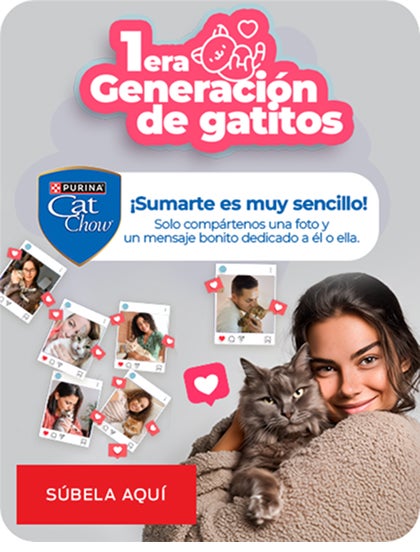 Haz parte de la primera generación de gatitos de Purina