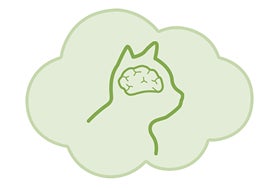 Icono de cerebro de gatito, la estimulación debe ser selectiva.