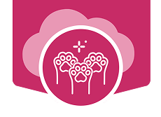 Icono de lifestyle y comunidad, ingresa y conoce la comunidad creada para cat lovers.