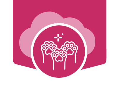 Icono de lifestyle y comunidad, ingresa y conoce la comunidad creada para cat lovers.