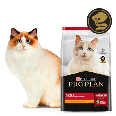 Alimento Pro Plan Adult para gatos junto a felino en card del producto