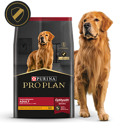 Alimento Pro Plan Adult junto a perro en la card del alimento para perros adultos