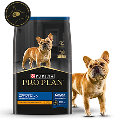 Alimento Pro Plan Active Mind con mascota en la card del alimento para perros senior