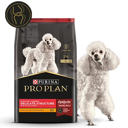 Alimento Pro Plan Delicate Structure y mascota en la card del alimento para perros con estructura ósea delicada