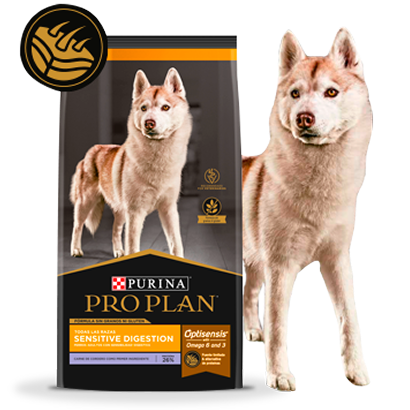 Alimento Pro Plan Sensitive Digestion junto a perro en card de alimento para perros con sensibilidad alimentaria