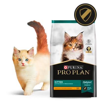 Alimento Pro Plan Kitten para gatitos junto a felino en card