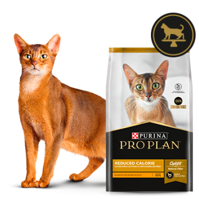 Alimento seco para gatos poco activos Pro Plan Reduced Calorie junto a felino en card