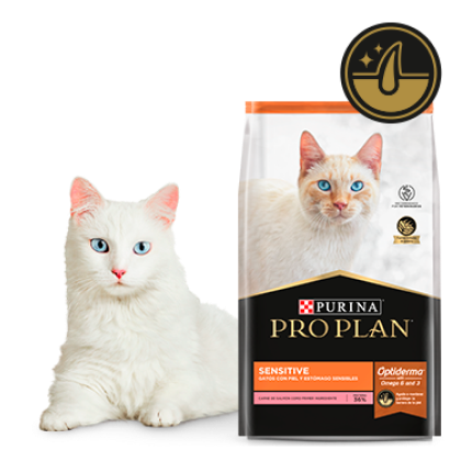 Gato junto a Pro Plan Sensitive alimento para gatos adultos con piel y estómago sensible