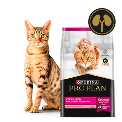 Gato junto al alimento Pro Plan Sterilized para gatos esterilizados